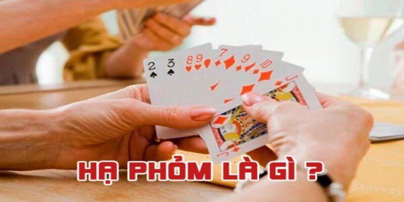 Thuật ngữ thường được sử dụng trong bài Phỏm online Debet là gì?